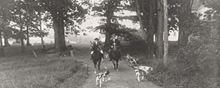 Men with hounds on a fox hunt